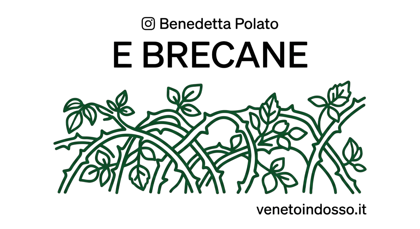 T-SHIRT:”E BRECANE’