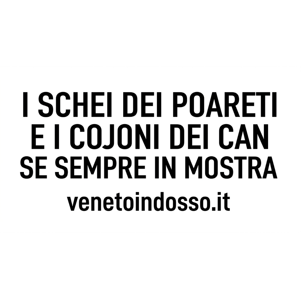 T-SHIRT:”I SCHEI DEI PAORETI”