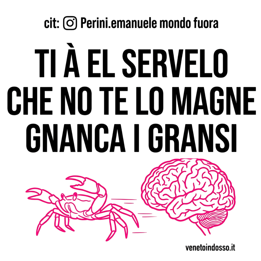 Grafica t-shirt dialetto veneto: scritta "Ti à el servelo che no te lo magne gnanca i gransi"  con granchio e cervello – Venetoindosso