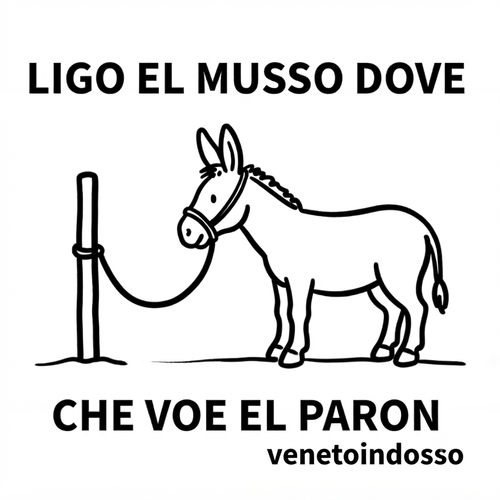 stampa grafica sul davanti raffigurante un asino legato a un palo con la scritta "LIGO EL MUSSO DOVE CHE VOE EL PARON" e il logo "venetoindosso".⁠