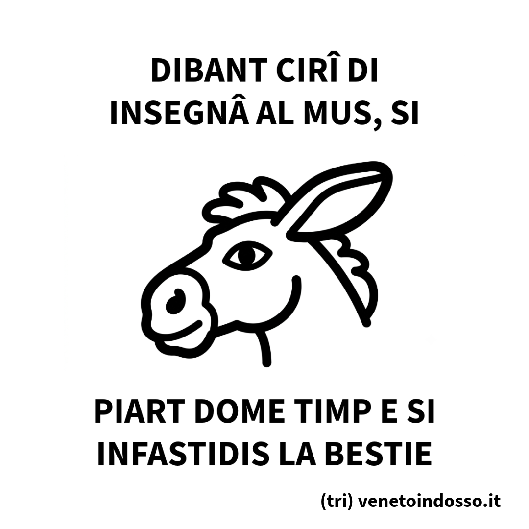 Insegnâ al Mus – Maglietta lingua friulana | VenetoIndosso