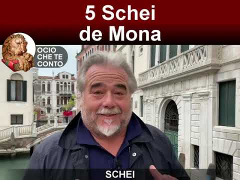 T-Shirt Veneto "Ghe Vol Sempre 5 Schei de Mona" – Maglietta in dialetto Veneto idee regalo